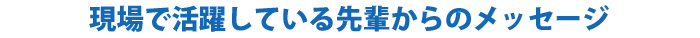 現場で活躍している先輩からのメッセージ